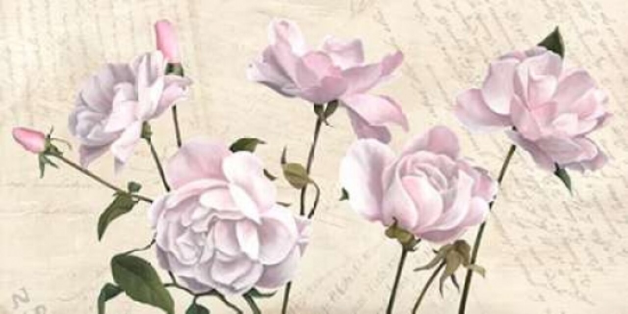 Classica I Poster Print by Remy Dellal - Item # VARPDX2DE1886